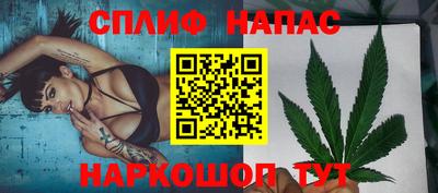прущие грибы Гусиноозёрск