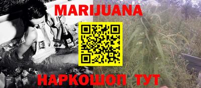 прущие грибы Гусиноозёрск