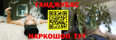 прущие грибы Гусиноозёрск