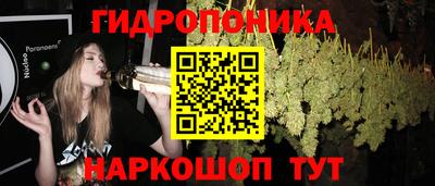 эйфоретик Гусев