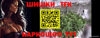 прущие грибы Гусиноозёрск
