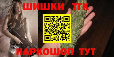 прущие грибы Гусиноозёрск