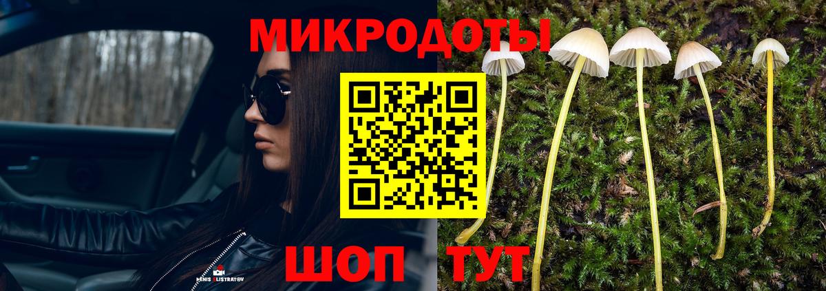 Псилоцибиновые грибы Cubensis  Вход с VPN  Майкоп 